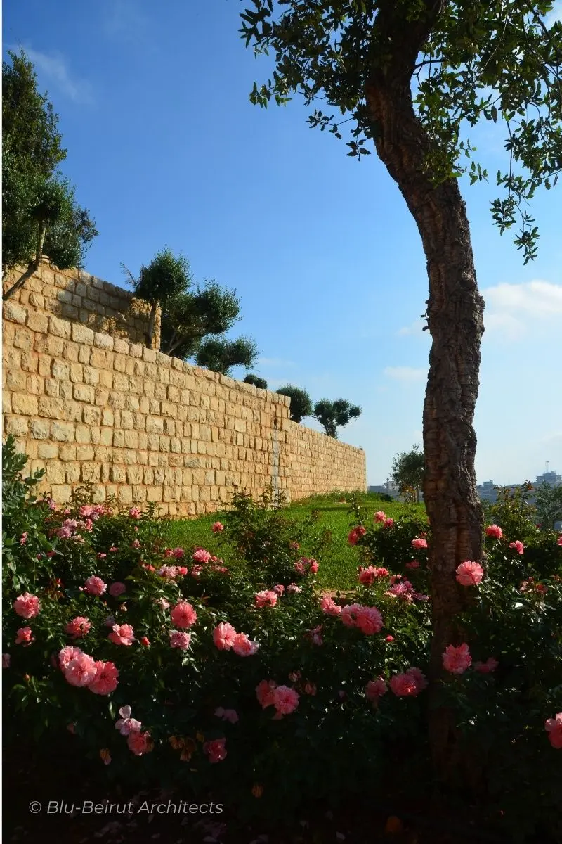 Garden with native Lebanese landscaping